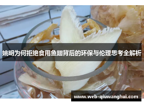 姚明为何拒绝食用鱼翅背后的环保与伦理思考全解析 姚明为何拒绝食用鱼翅背后的环保与伦理思考全解析